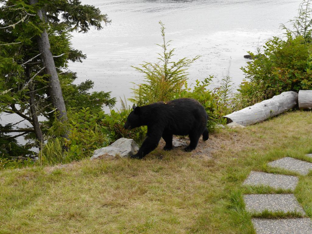 Cygnet Cove Suites Ucluelet Quarto foto